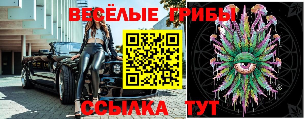 Владимир  Галлюциногенные грибы Cubensis  Вход с VPN 